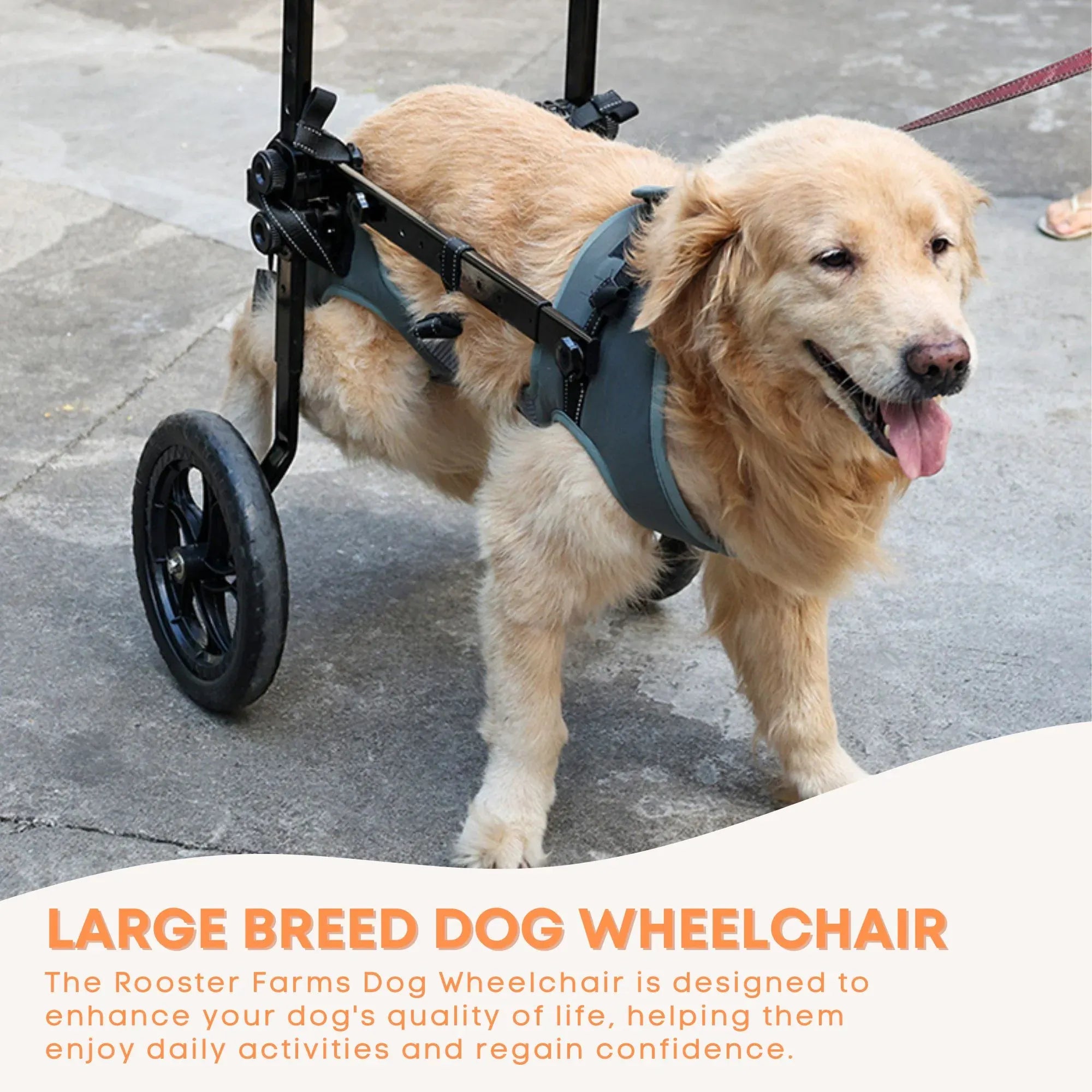 Rooster Farms Large Dog Wheelchair XL Harness - Adjustable Back Leg Aid V238-SUPDZ-41121780236368