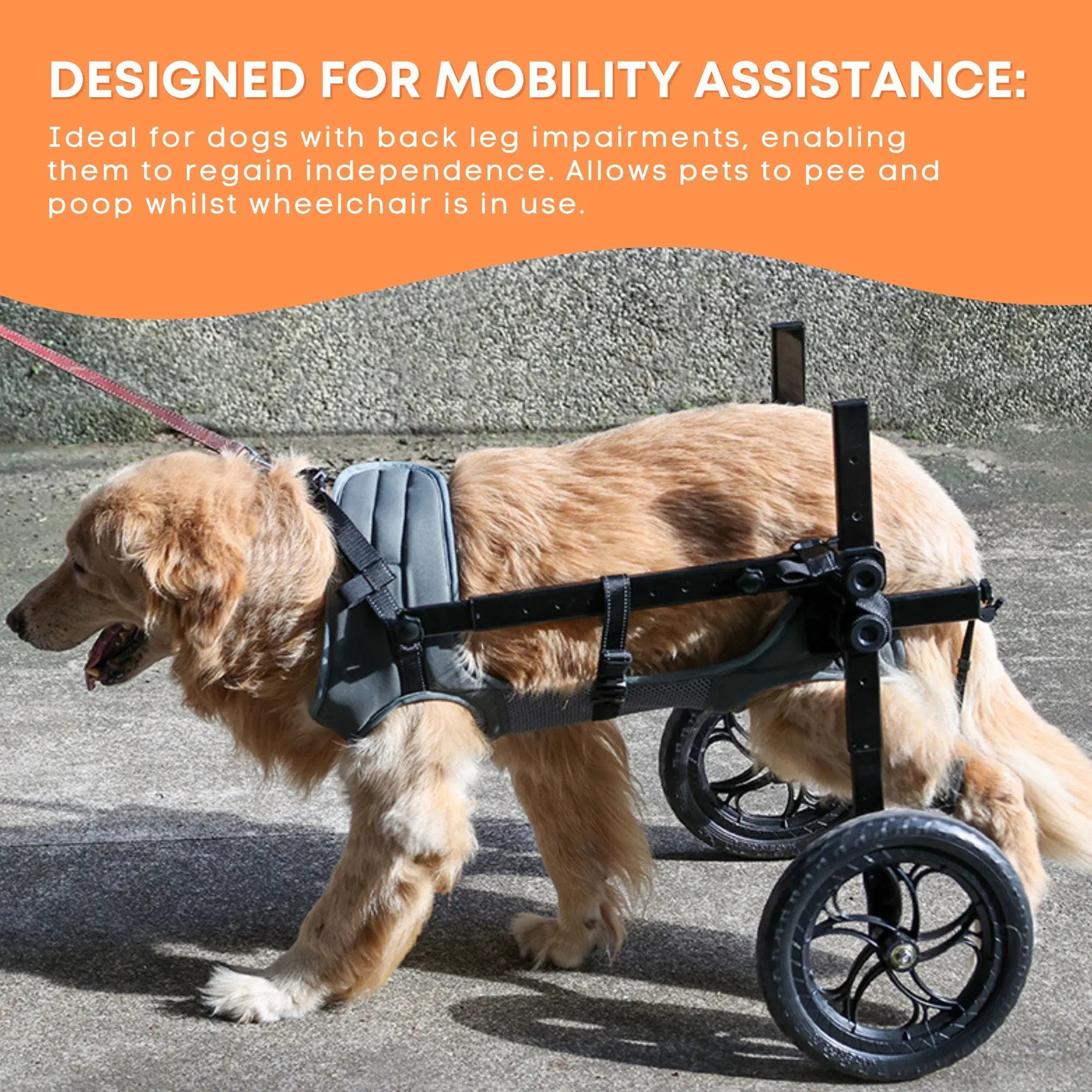 Rooster Farms Large Dog Wheelchair XL Harness - Adjustable Back Leg Aid V238-SUPDZ-41121780236368