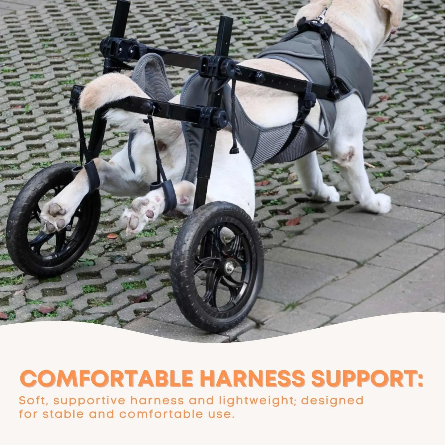 Rooster Farms Large Dog Wheelchair XXL Harness - Adjustable Back Leg Aid V238-SUPDZ-41121798062160