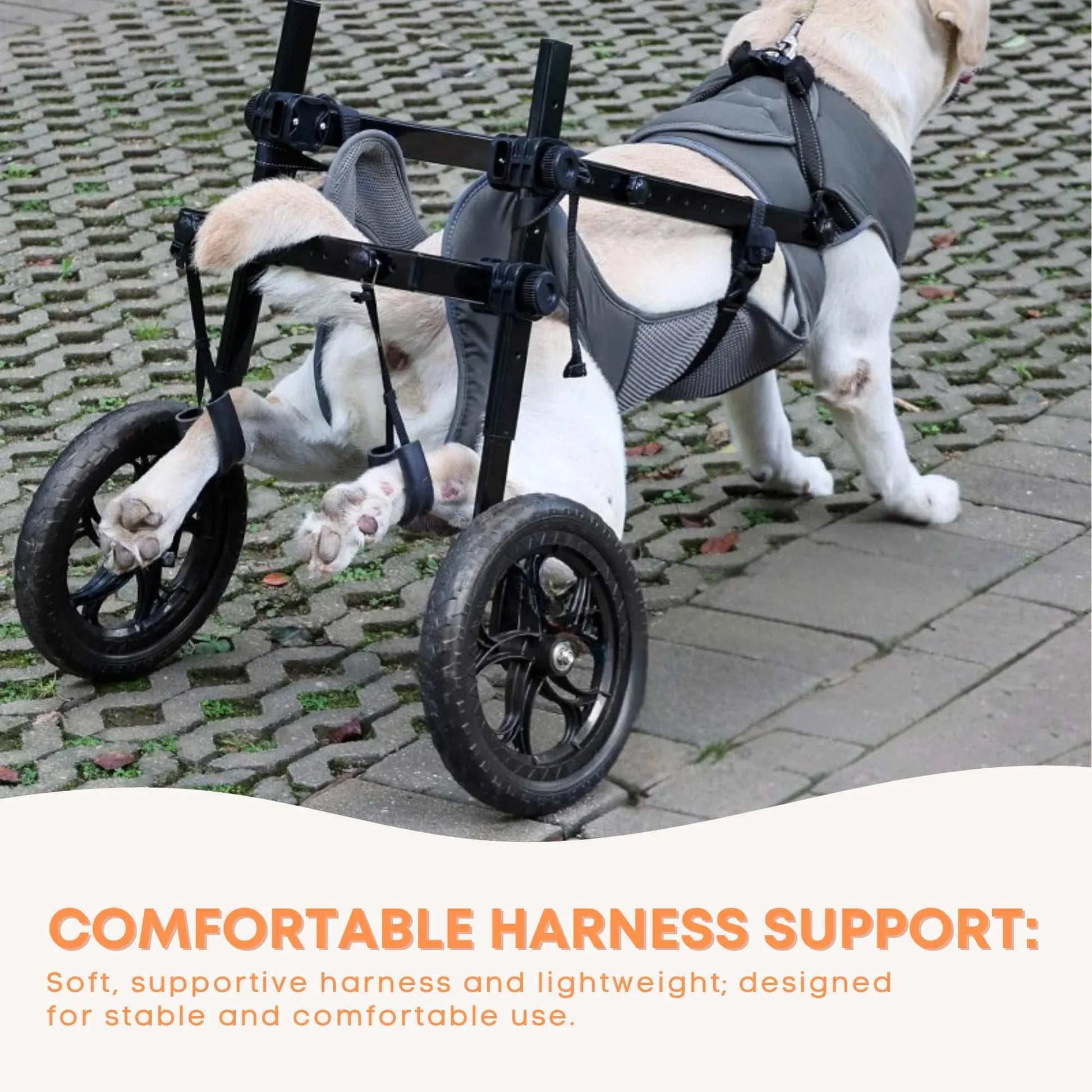 Rooster Farms Large Dog Wheelchair XXL Harness - Adjustable Back Leg Aid V238-SUPDZ-41121798062160
