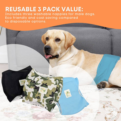 Rooster Farms Male Dog Diapers Medium 3Pk - Washable Reusable Nappies Hook/Loop V238-SUPDZ-41365724921936