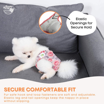 Rooster Farms Female Dog Diapers Small 3Pk - Washable Reusable Nappies Hook/Loop V238-SUPDZ-41365730230352