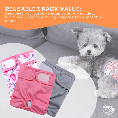 Rooster Farms Female Dog Diapers Small 3Pk - Washable Reusable Nappies Hook/Loop V238-SUPDZ-41365730230352