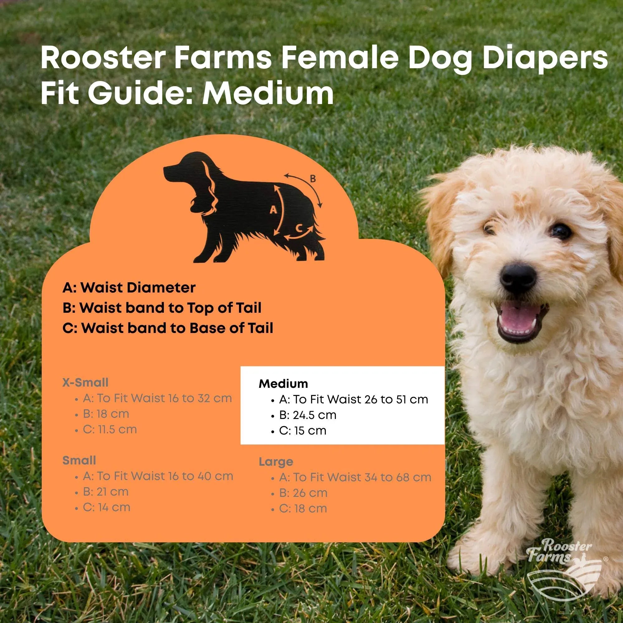 Rooster Farms Female Dog Diapers Medium 3Pk - Washable Reusable Nappy Hook/Loop V238-SUPDZ-41365730787408