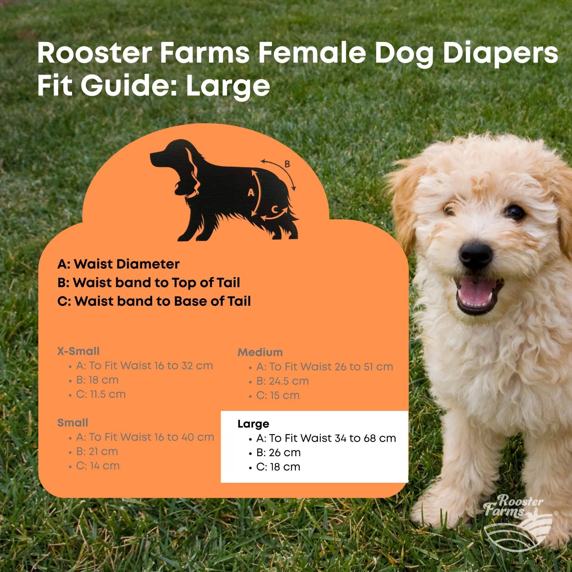 Rooster Farms Female Dog Diapers Large 3Pk - Washable Reusable Nappies Hook/Loop V238-SUPDZ-41365731442768