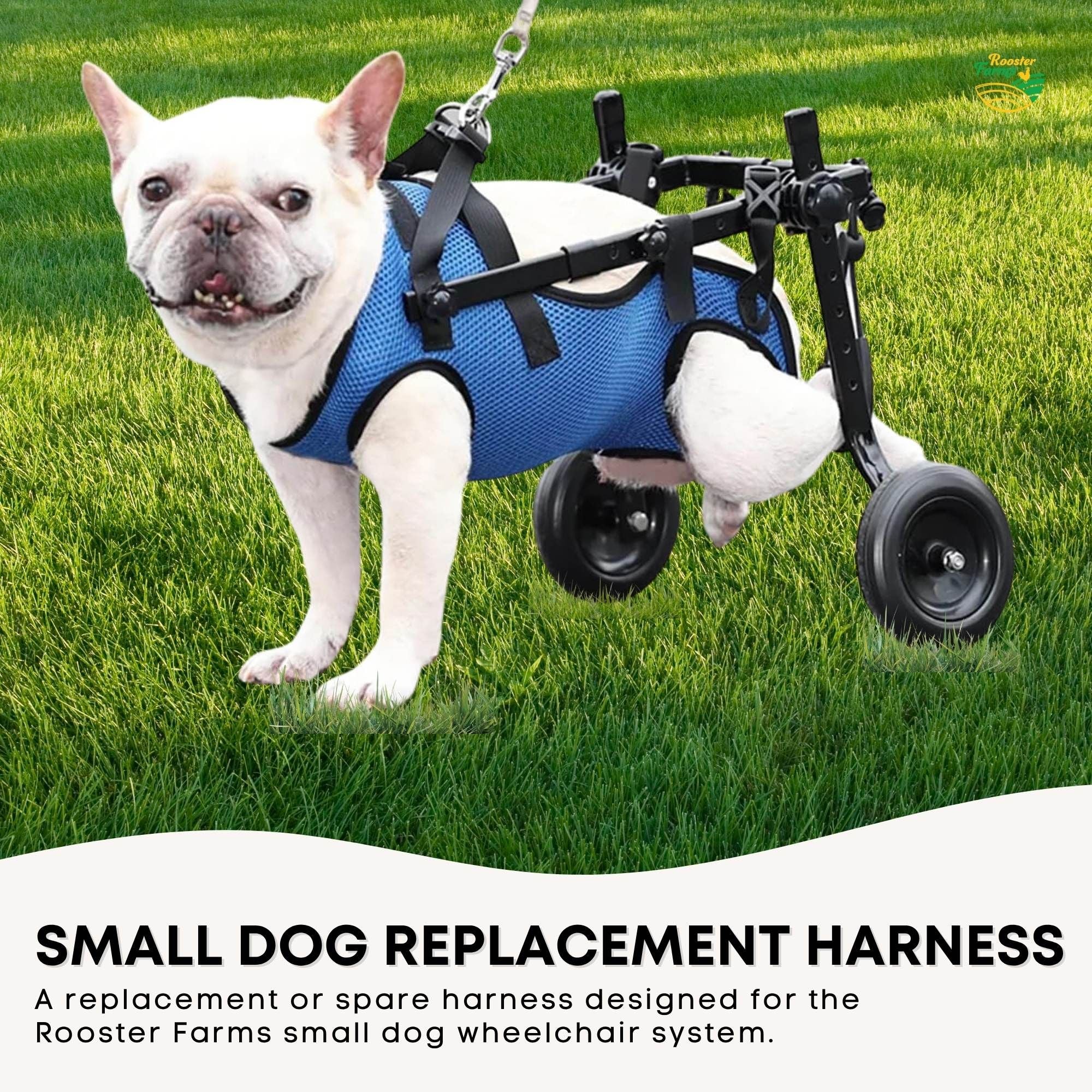 Rooster Farms Replacement Harness for Dog Wheelchair S - Little Dogs Up to 10Kg V238-SUPDZ-41998865530960