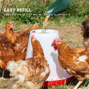 Rooster Farms 6Kg Automatic Chicken Feeder - Poultry Hen Feeding Seed Bucket V238-SUPDZ-52768013062