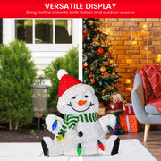 Christabelle Sitting Christmas Snowman Display With Lights - 40cm V240-112_MHA504