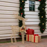 Christabelle Light Up Christmas Reindeer Display Indoor & Outdoor Decoration Warm White LED Lights Gold Bow V240-112_MHA603