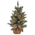 Christabelle 61cm Pre-Lit Snowy Stamford Spruce Battery-Operated Mini Christmas Tree Multi-Functional LED V240-112_NATSS2