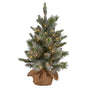 Christabelle 61cm Pre-Lit Snowy Stamford Spruce Battery-Operated Mini Christmas Tree Multi-Functional LED V240-112_NATSS2
