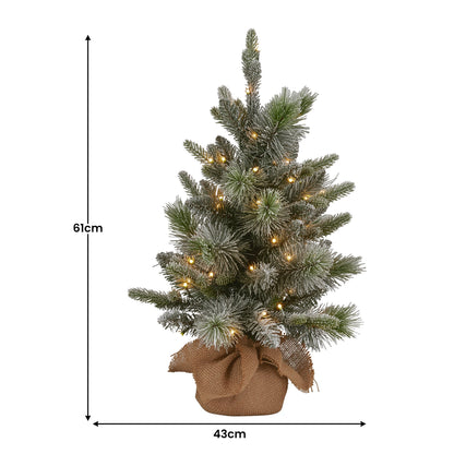 Christabelle 61cm Pre-Lit Snowy Stamford Spruce Battery-Operated Mini Christmas Tree Multi-Functional LED V240-112_NATSS2