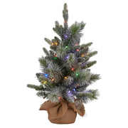 Christabelle 61cm Pre-Lit Snowy Stamford Spruce Battery-Operated Mini Christmas Tree Multi-Functional LED V240-112_NATSS2