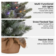 Christabelle 61cm Pre-Lit Snowy Stamford Spruce Battery-Operated Mini Christmas Tree Multi-Functional LED V240-112_NATSS2