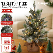 Christabelle 61cm Pre-Lit Snowy Stamford Spruce Battery-Operated Mini Christmas Tree Multi-Functional LED V240-112_NATSS2