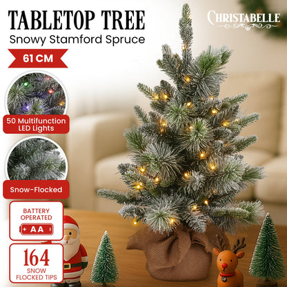 Christabelle 61cm Pre-Lit Snowy Stamford Spruce Battery-Operated Mini Christmas Tree Multi-Functional LED V240-112_NATSS2