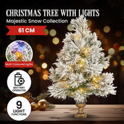 Christabelle 61cm Majestic Snow Tabletop Prelit Christmas Tree V240-112_OPMS2P