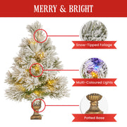 Christabelle 61cm Majestic Snow Tabletop Prelit Christmas Tree V240-112_OPMS2P