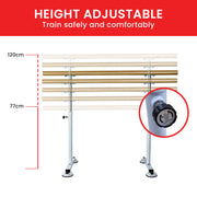 Powertrain Freestanding Ballet Barre - 1.5m V240-BAR-WDN-150
