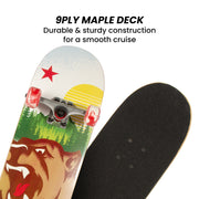 Kryptonics 31-inch Star Series Complete Skateboard V240-BS-171338-SK