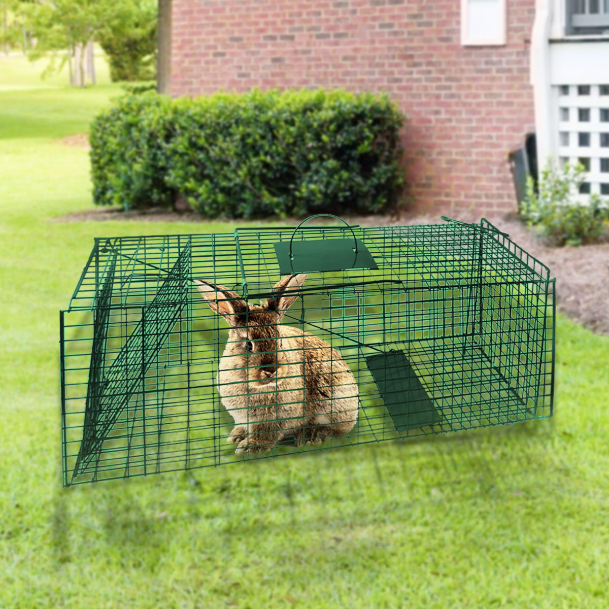 Klika Humane Live Animal Trap Possum Rat Rabbit Hare Catcher Folding Cage V240-CH-628