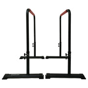 Powertrain Height-Adjustable Dip Bars Pair Load Capacity 200kg Separated Type V240-DIP-RCK-IPR-006