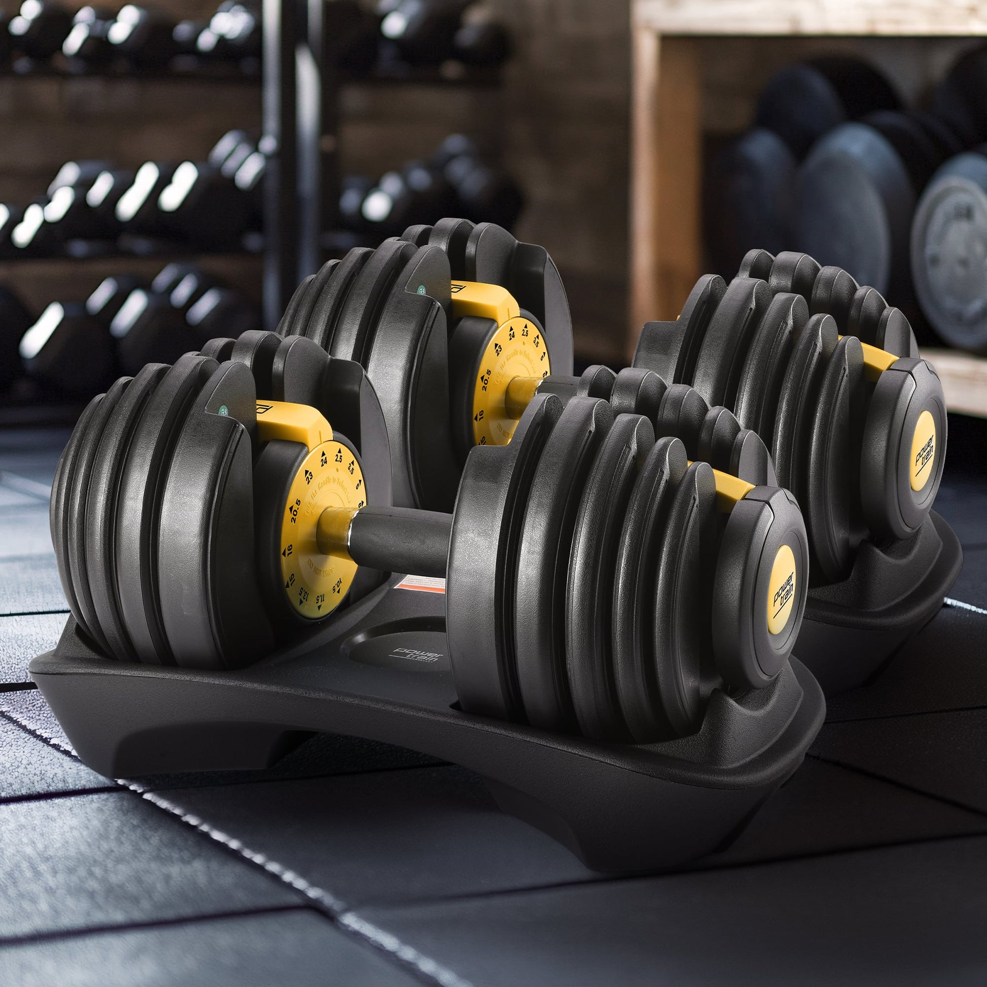 Powertrain 48kg Adjustable Dumbbell Home Gym Set Gold V240-DMB-BF1-024-GD-2