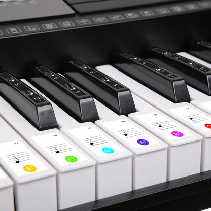 Karrera 61 Keys Electronic LED Keyboard Piano with Stand - Black V240-EKB-CHJ-61-BK-LED