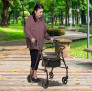 Orthonica Foldable Steel Frame Rollator 4-wheel Walker V240-FRW-MAS-30-STL