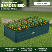 Wallaroo Garden Bed 120 x 60 x 30cm Galvanized Steel - Green V240-GBD-BSW-1206-GN