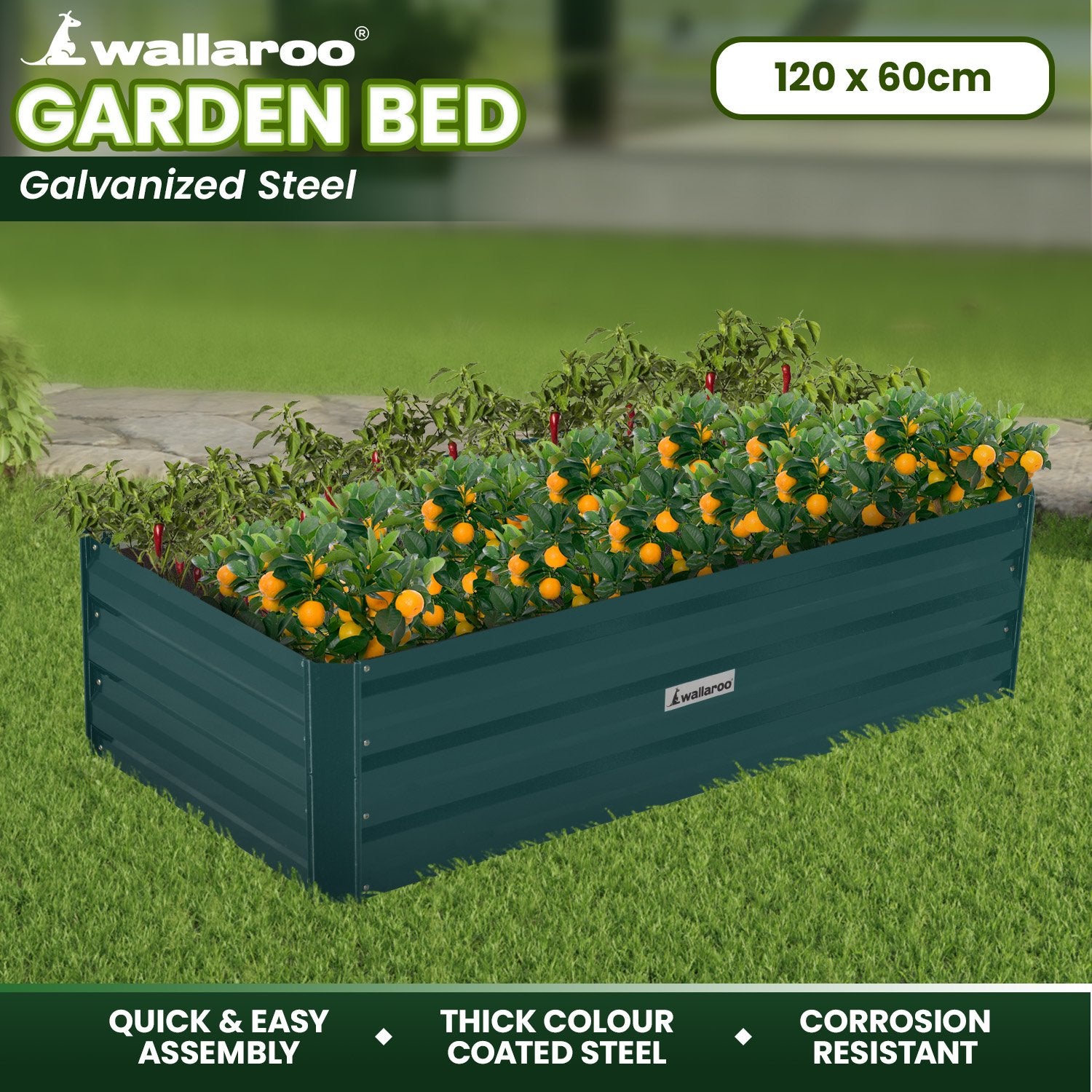 Wallaroo Garden Bed 120 x 60 x 30cm Galvanized Steel - Green V240-GBD-BSW-1206-GN