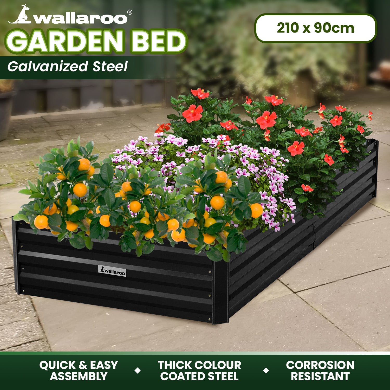 Wallaroo Garden Bed 210 x 90 x 30cm Galvanized Steel - Black V240-GBD-BSW-2109-BK
