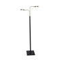 Sarantino LED Metal Floor Lamp with 2 Lights in Brushed Gold and Black Finish V240-LMP-MLM-ML82618