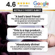 Laura Hill 600-GSM Mink Blanket Queen Size Double-Sided Soft Plush Bed Faux Throw Rug 220 X 240cm Sage V240-MINK-SG