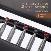 Powertrain Aria Steel Foldable Pilates Board Reformer Multifunctional Core Exercise Set Ab Trainer With V240-PLT-CHY-S03-BK