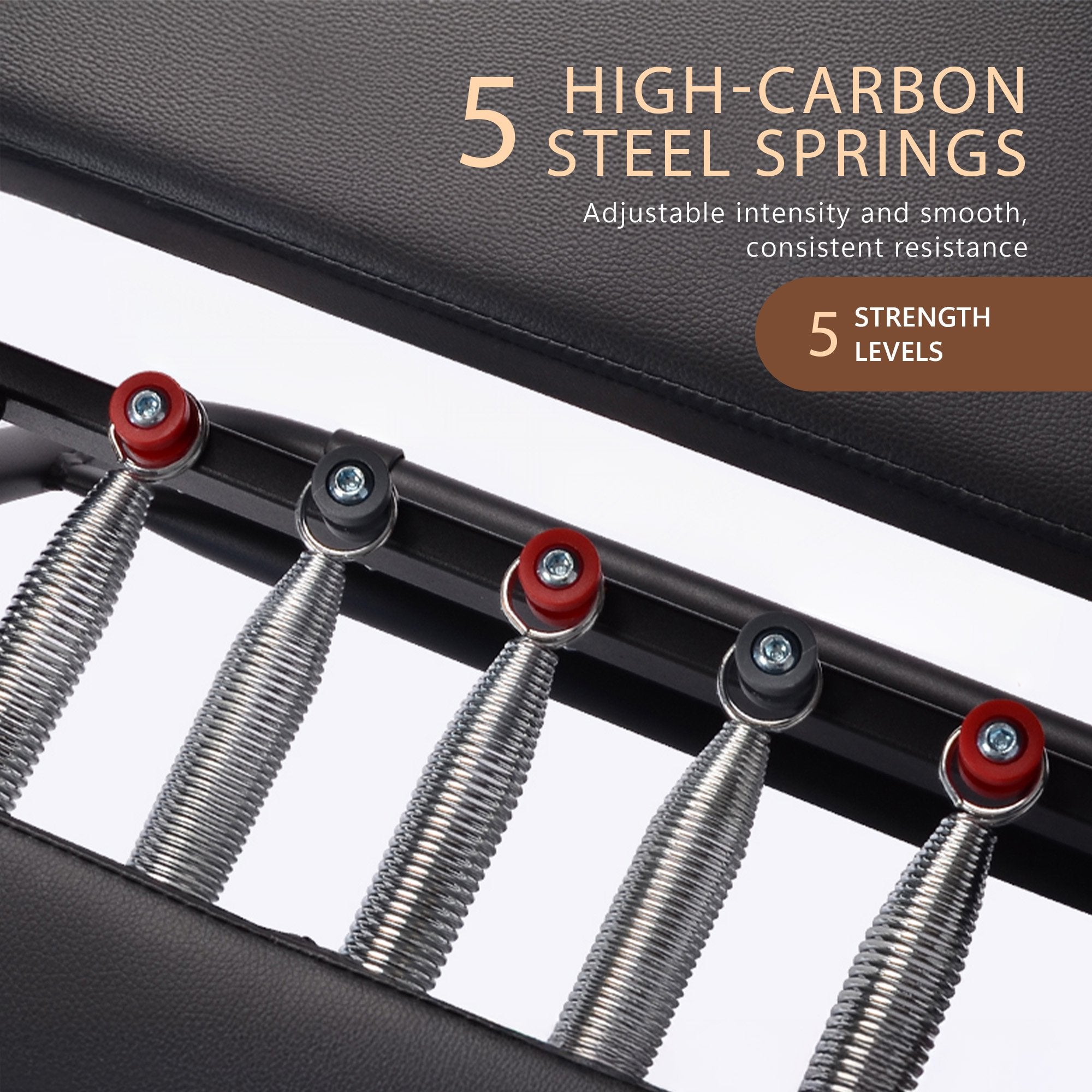Powertrain Aria Steel Foldable Pilates Board Reformer Multifunctional Core Exercise Set Ab Trainer With V240-PLT-CHY-S03-BK