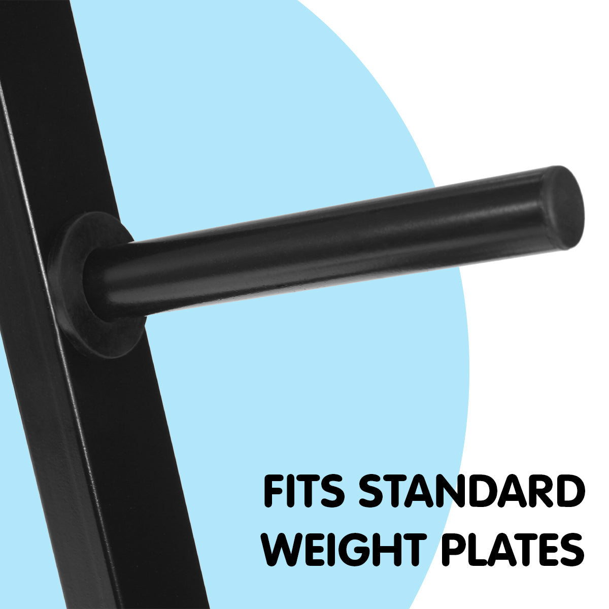 Powertrain Weight Plates Storage Home Gym Rack V240-WBP-RACK