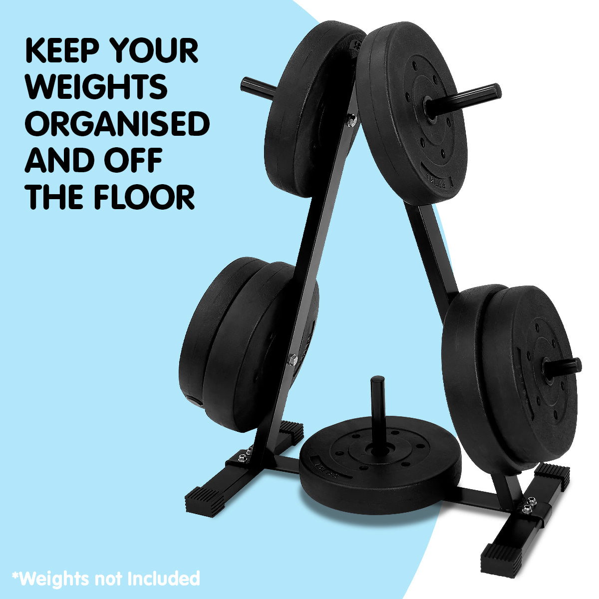 Powertrain Weight Plates Storage Home Gym Rack V240-WBP-RACK