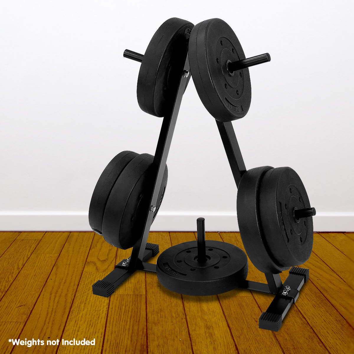 Powertrain Weight Plates Storage Home Gym Rack V240-WBP-RACK