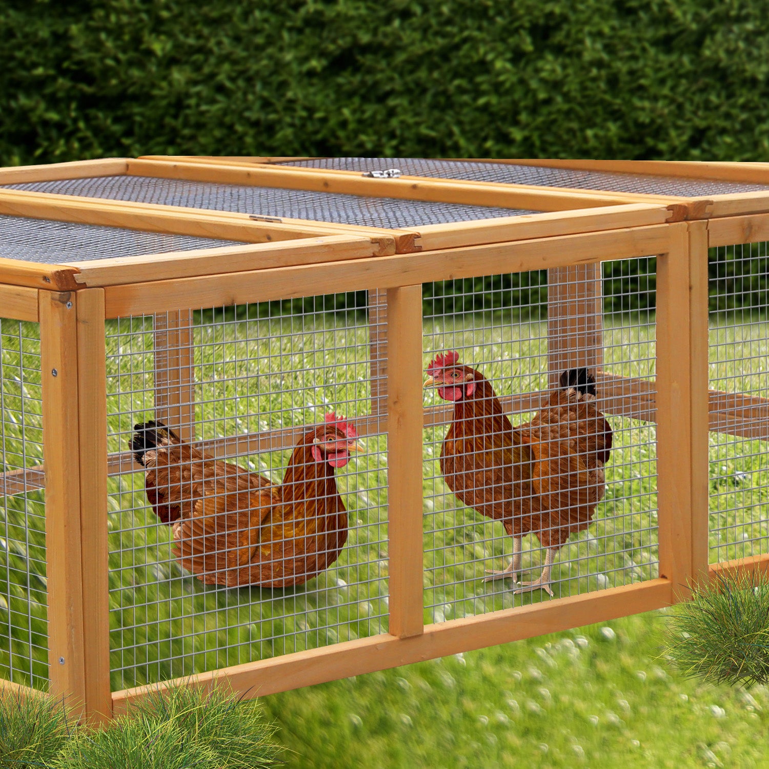Furtastic Rectangular Wooden Chicken Coop & Rabbit Hutch V240-WCC-JOY-001-REC