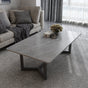 120x60cm Matte Grey Minimalist Slate Coffee Table Marble Tea Table Living Room Rectangle Cocktail Side Table V255-MATTEGTABLE-COFFEE