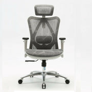 Sihoo M57 Ergonomic Office Chair, Computer Chair Desk Chair High Back Chair Breathable,3D Armrest and Lumbar V255-SIHOO-M57-0009-GY