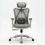 Sihoo M57 Ergonomic Office Chair, Computer Chair Desk Chair High Back Chair Breathable,3D Armrest and Lumbar V255-SIHOO-M57-0009-GY