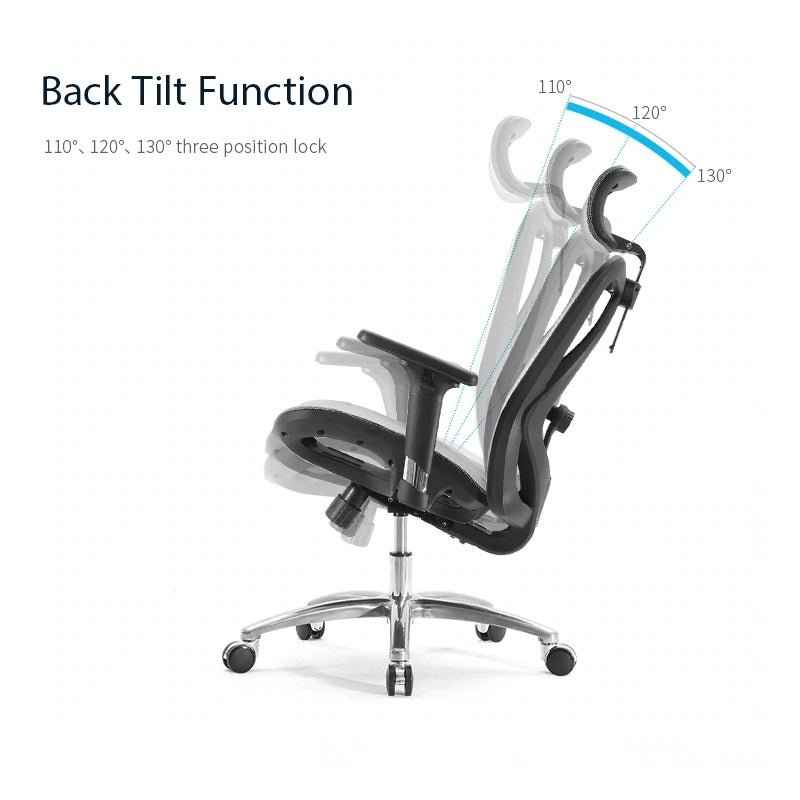 Sihoo M57 Ergonomic Office Chair, Computer Chair Desk Chair High Back Chair Breathable,3D Armrest and Lumbar V255-SIHOO-M57-0009-GY