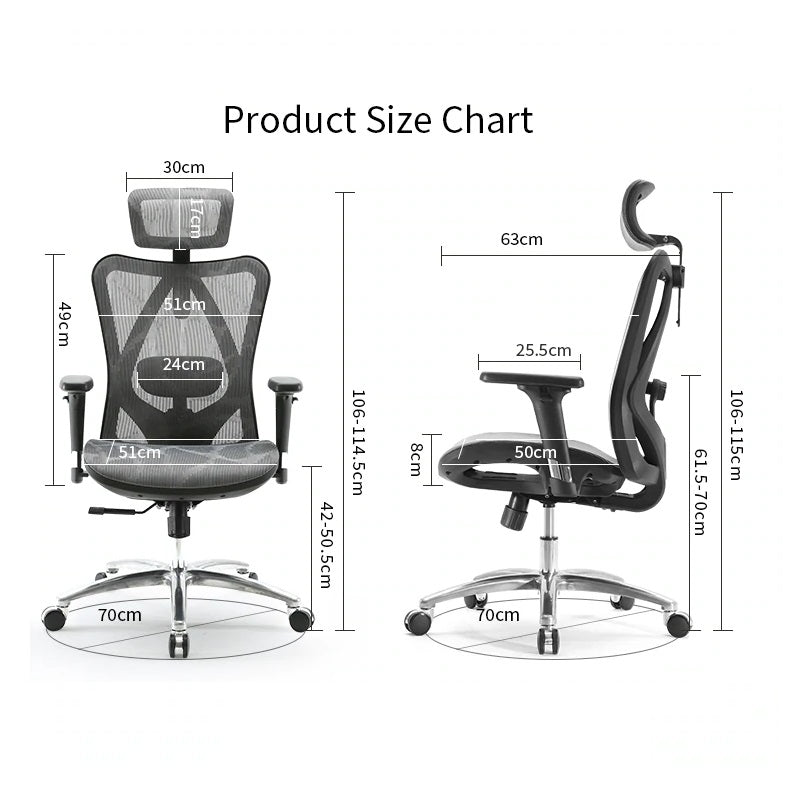 Sihoo M57 Ergonomic Office Chair, Computer Chair Desk Chair High Back Chair Breathable,3D Armrest and Lumbar V255-SIHOO-M57-0009-GY