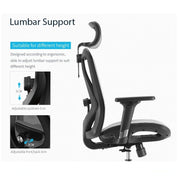 Sihoo M57 Ergonomic Office Chair, Computer Chair Desk Chair High Back Chair Breathable,3D Armrest and Lumbar V255-SIHOO-M57-0009-GY