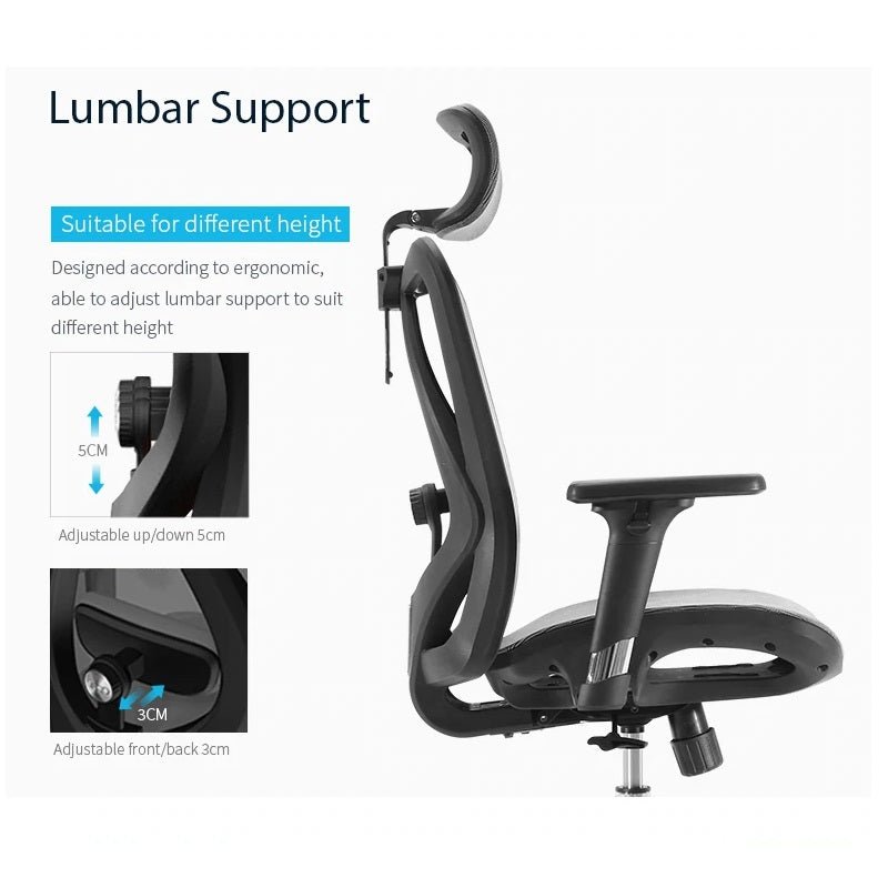Sihoo M57 Ergonomic Office Chair, Computer Chair Desk Chair High Back Chair Breathable,3D Armrest and Lumbar V255-SIHOO-M57-0009-GY