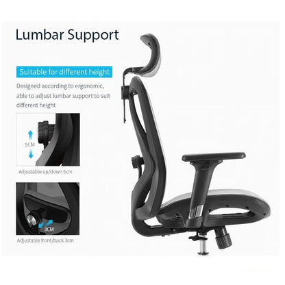 Sihoo M57 Ergonomic Office Chair, Computer Chair Desk Chair High Back Chair Breathable,3D Armrest and Lumbar V255-SIHOO-M57-0009-GY