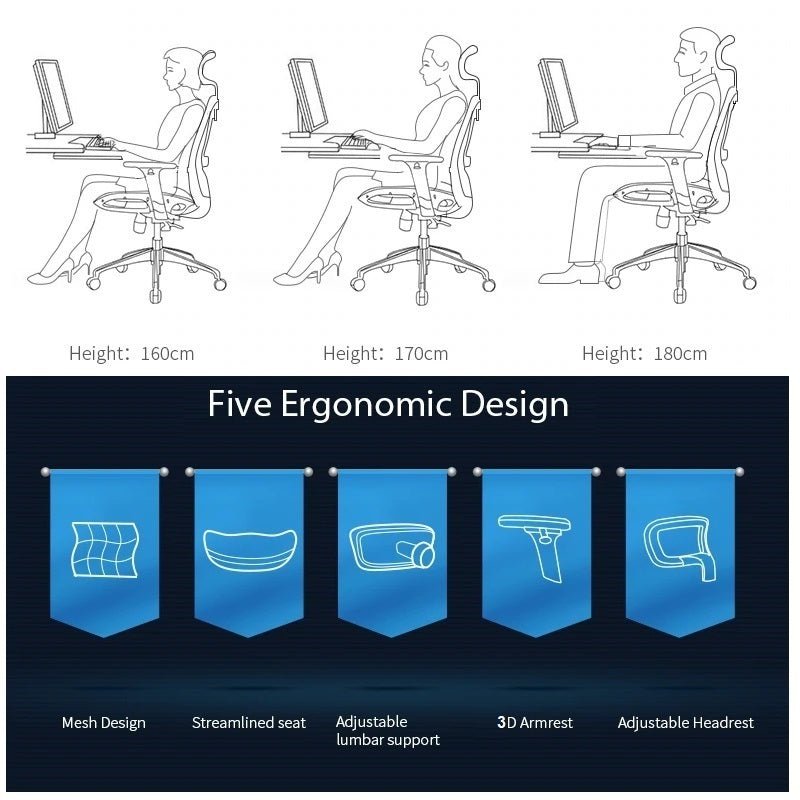 Sihoo M57 Ergonomic Office Chair, Computer Chair Desk Chair High Back Chair Breathable,3D Armrest and Lumbar V255-SIHOO-M57-0009-GY