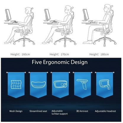 Sihoo M57 Ergonomic Office Chair, Computer Chair Desk Chair High Back Chair Breathable,3D Armrest and Lumbar V255-SIHOO-M57-0009-GY